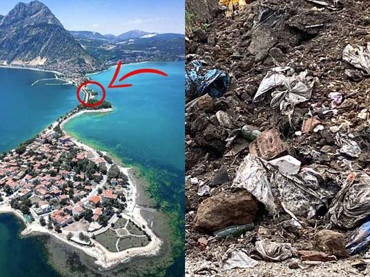 AKP'li belediyeden doğa katliamı
