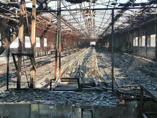 Bursa'da çiftlikte yangın: 4 bin tavuk öldü
