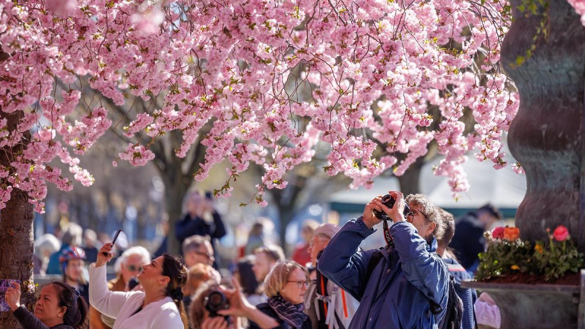 Stockholm'e bahar geldi: Herkes telefonuna sarıldı