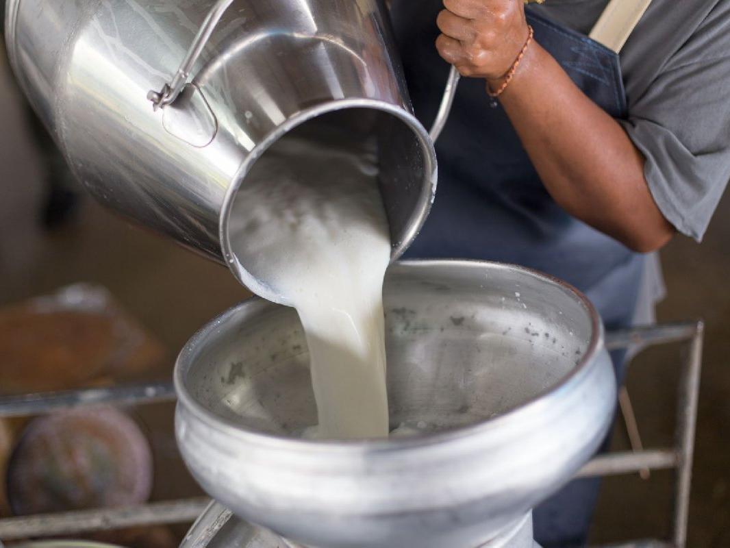 Üretici bir kilo süt satarak bir kilo yem alamıyor