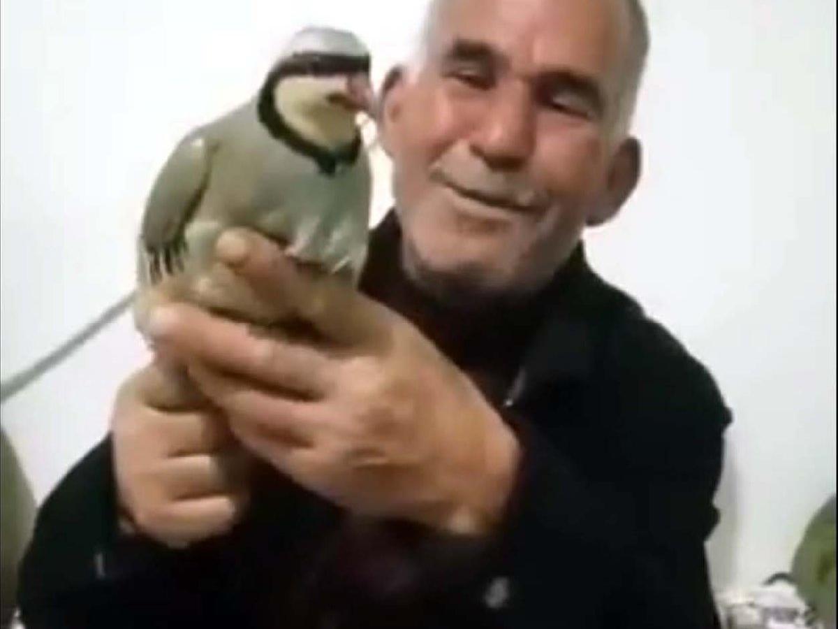 Tamir için çıktığı elektrik direğinde akıma kapılıp öldü 