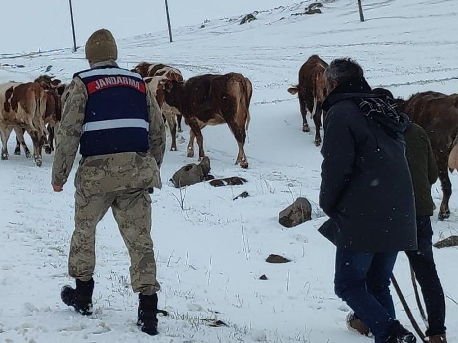 Hayvanlarını otlatırken karda mahsur kalan kadın, 4 saatte kurtarıldı