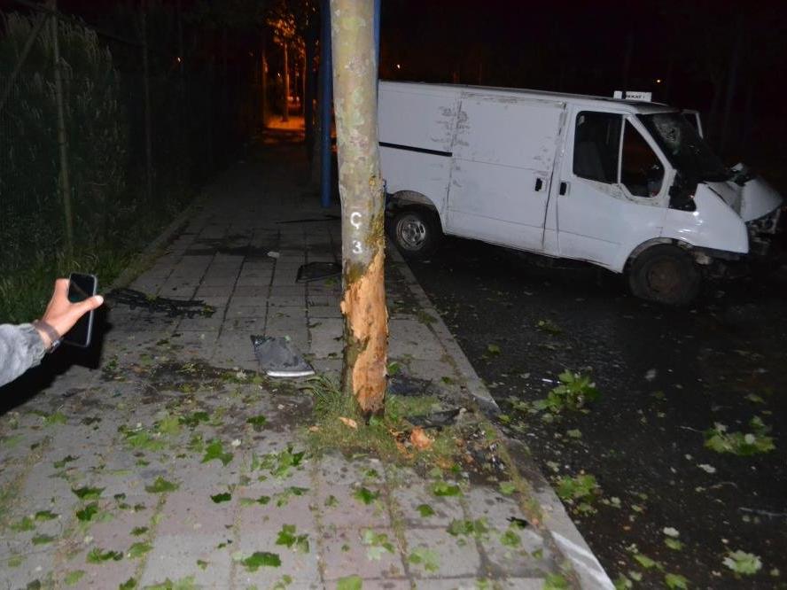 Alkollü sürücü ağaca çarptı: İki kardeşi ölüm ayırdı