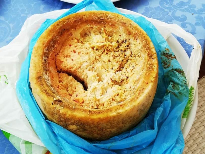 Dünyanın en tehlikeli peyniri: Casu marzu