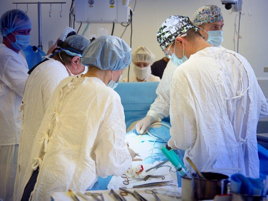 İsveç'te organ nakli için referandum yapıldı: Kabul edildi