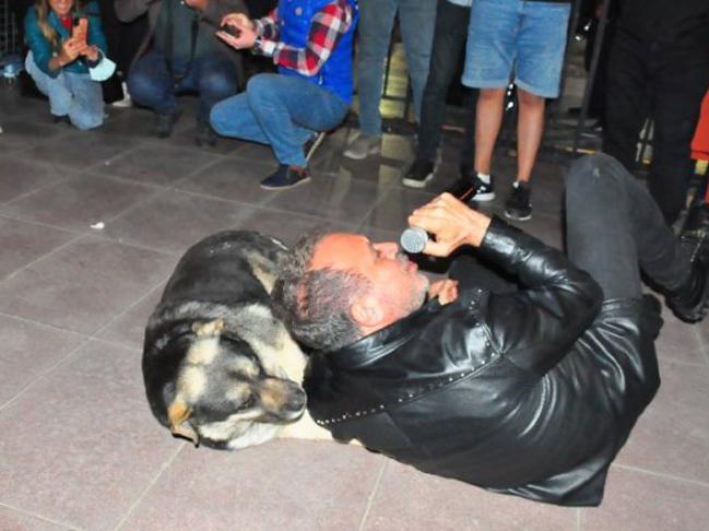 Haluk Levent, şarkılarını sokak köpeğinin yanına uzanarak seslendirdi