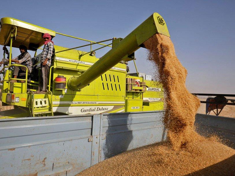 Buğdayın maliyeti 1.850 TL, çiftçinin kazancı 1.500 TL