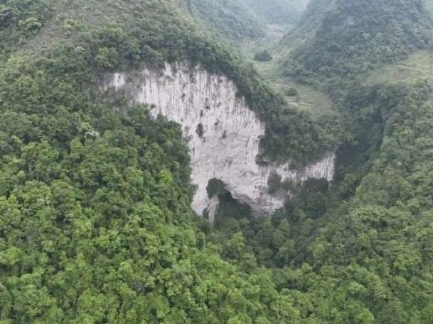 Çin'de yer altında binlerce yıllık orman bulundu