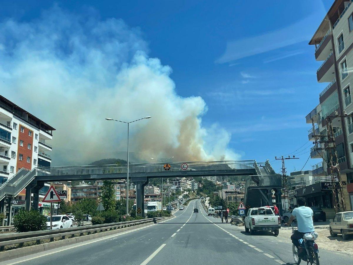 Antalya ve Hatay'da orman yangını
