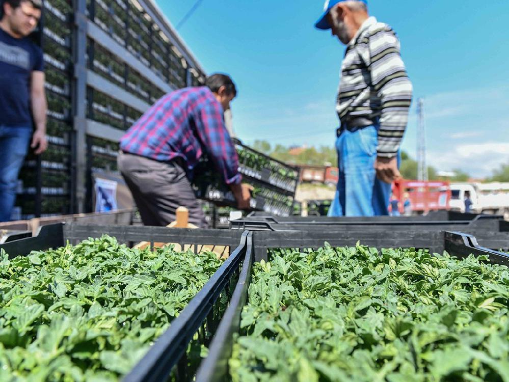 Ankara Büyükşehir, 25 ilçenin tamamında çiftçiye destek başlattı