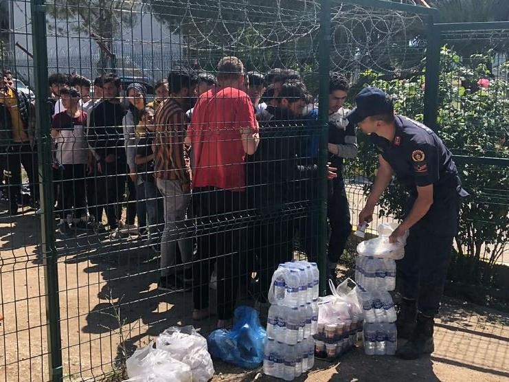 237 kaçak göçmen ile 10 organizatör yakalandı