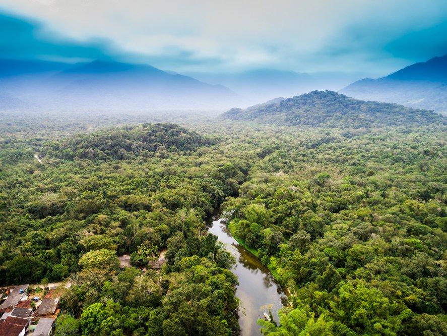 Amazon ormanlarının kayıp şehirleri yeniden keşfedildi