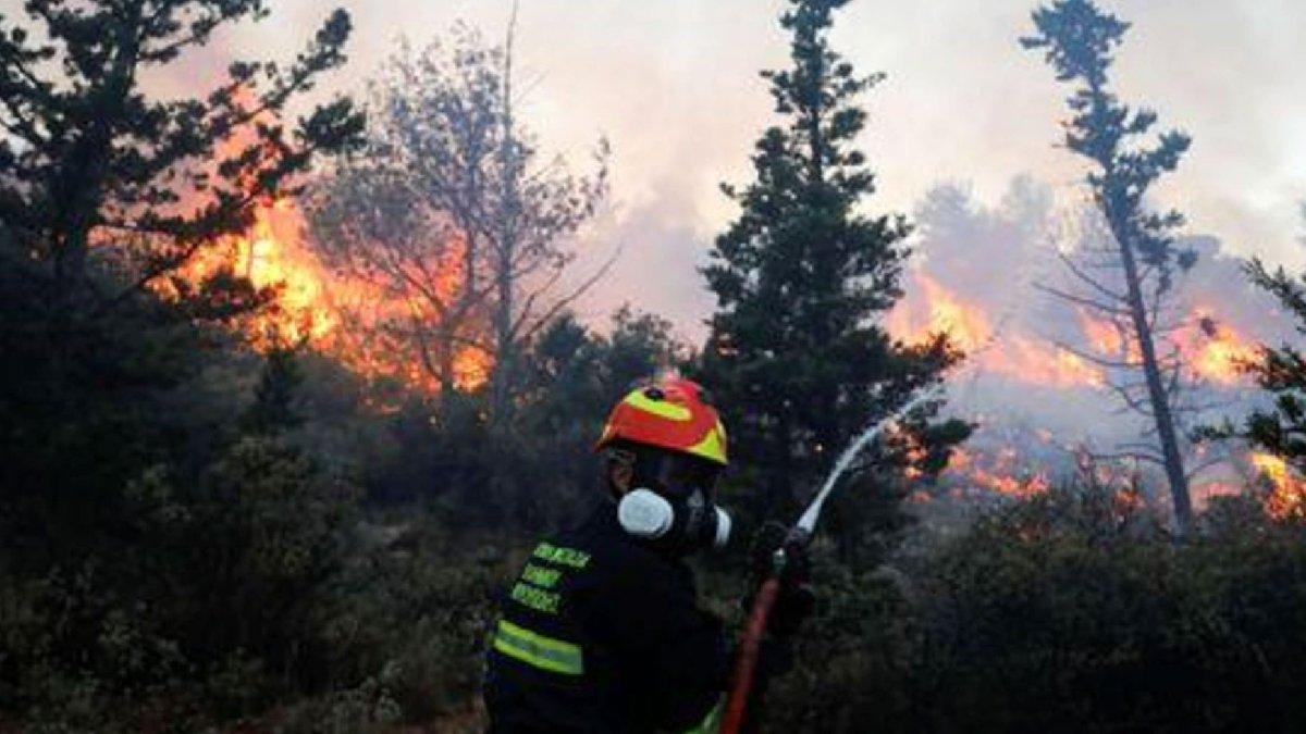 Yunanistan'da bir günde 61 orman yangını