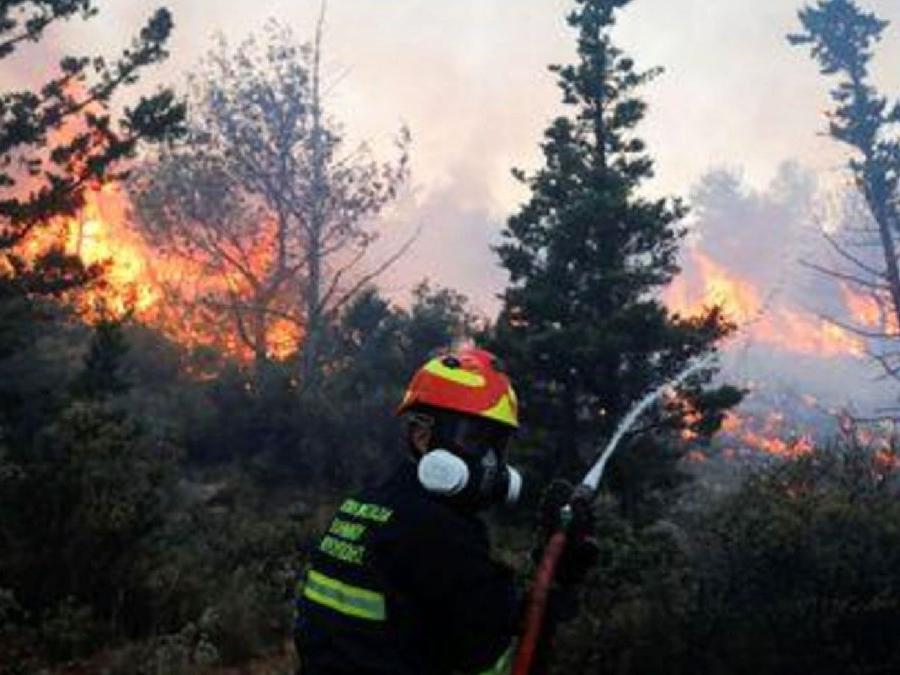 Yunanistan'da bir günde 61 orman yangını