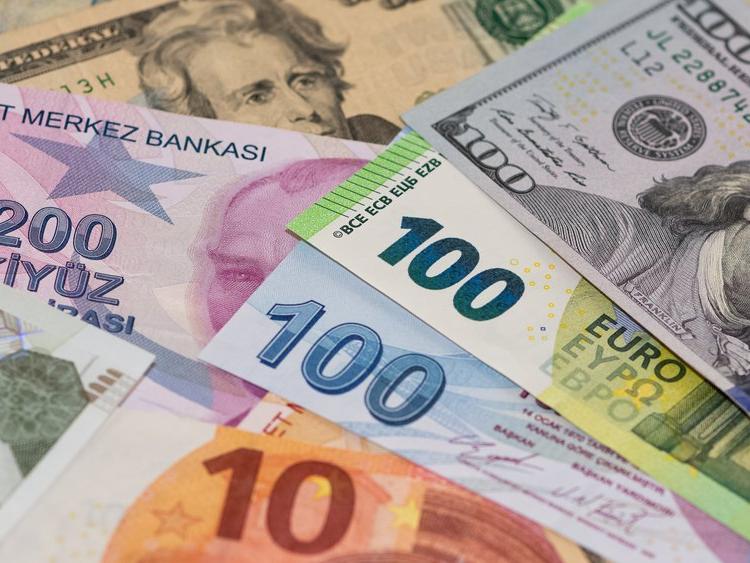 Dolar ve Euro yılın en yüksek seviyesinde