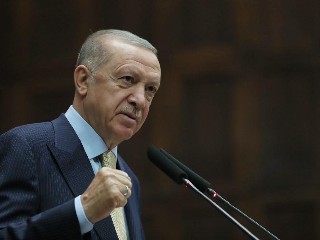 Erdoğan, 'sözde cumhurbaşkanı' davasını kaybetti