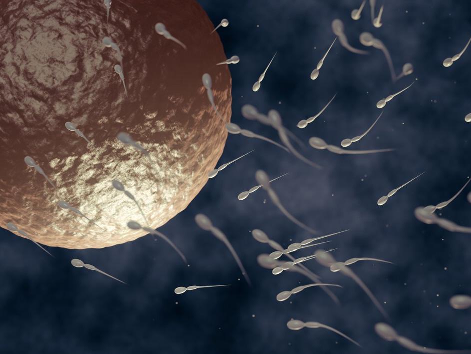 Uzmanlar açıkladı... Ambalaj kimyasalları sperm kalitesini düşürüyor