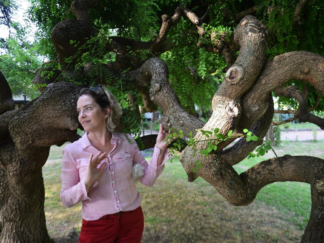 'Toprak Dede’nin mirası ağaç müzesi ziyaretçilerini büyülüyor