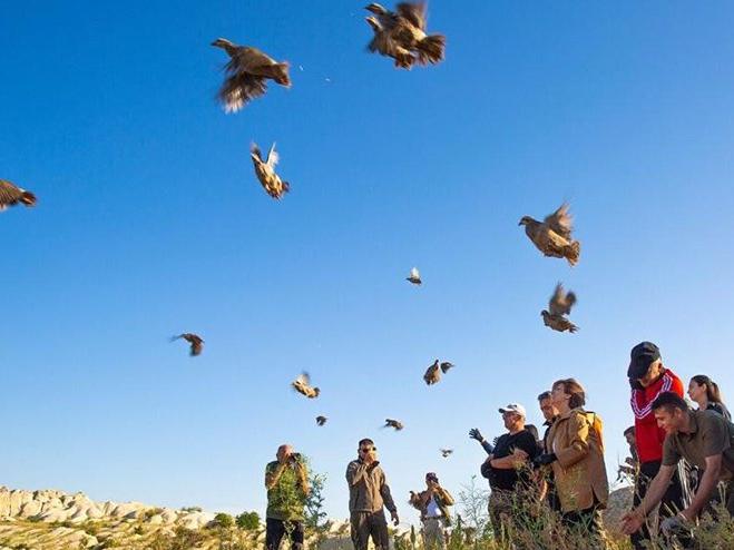 Gomeda Vadisi'nde 200 kınalı keklik salındı