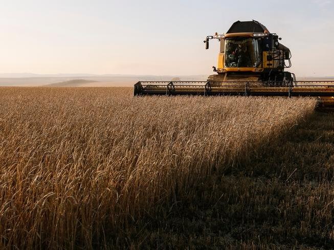 Ukrayna’da 2,4 milyon hektarlık kış mahsulü hasat edilmeyecek