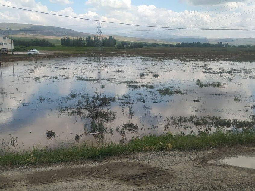 Sivas'ta kuvvetli yağışlar 3 bin dekar ekili alana zarar verdi!