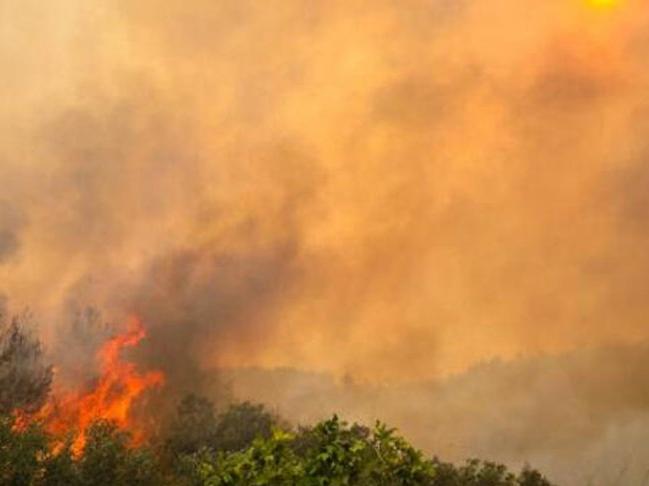 Orman yangınlarıyla mücadele önergesi AKP ve MHP'nin oylarıyla reddedildi