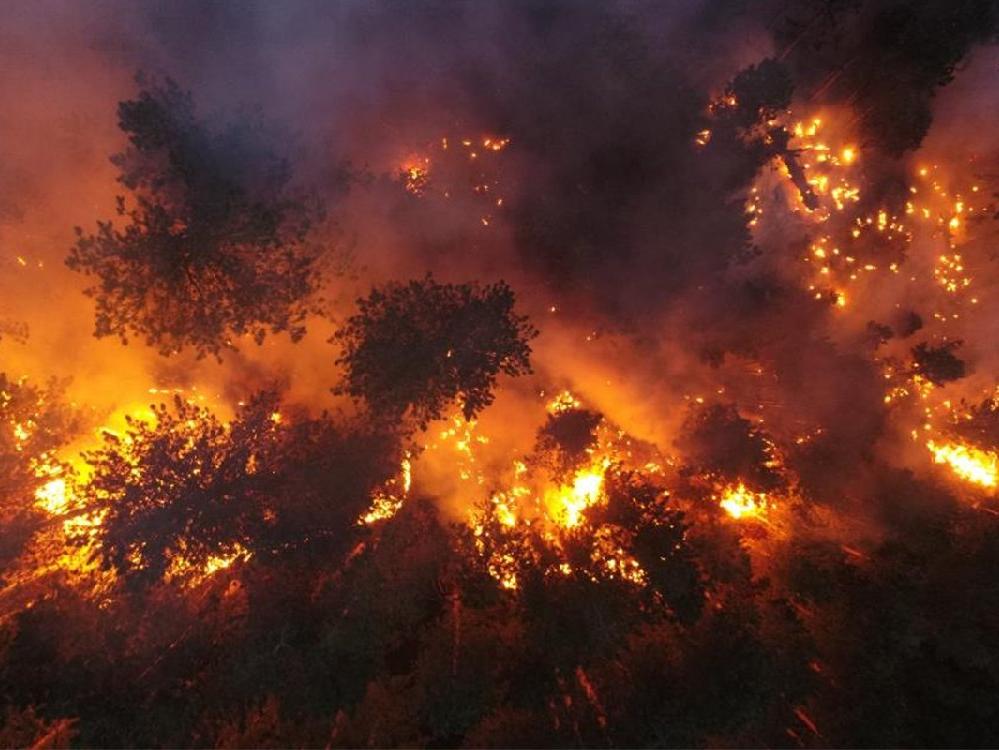 Orman yangınlarında kundakçılara hangi cezalar verildi?