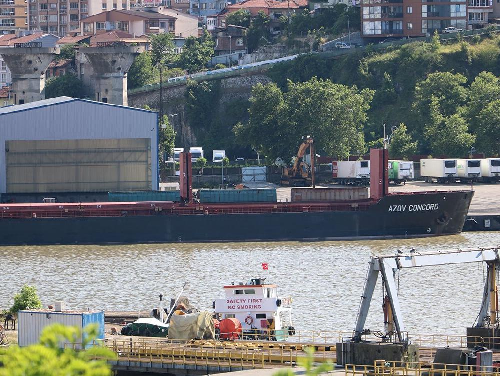 Ukrayna'dan çıkan gemi, Zonguldak'a geldi