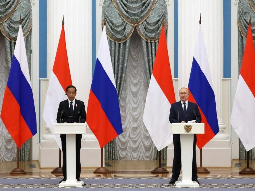 Endonezya Devlet Başkanı Widodo: Zelenskiy'nin mesajını Putin'e ilettim