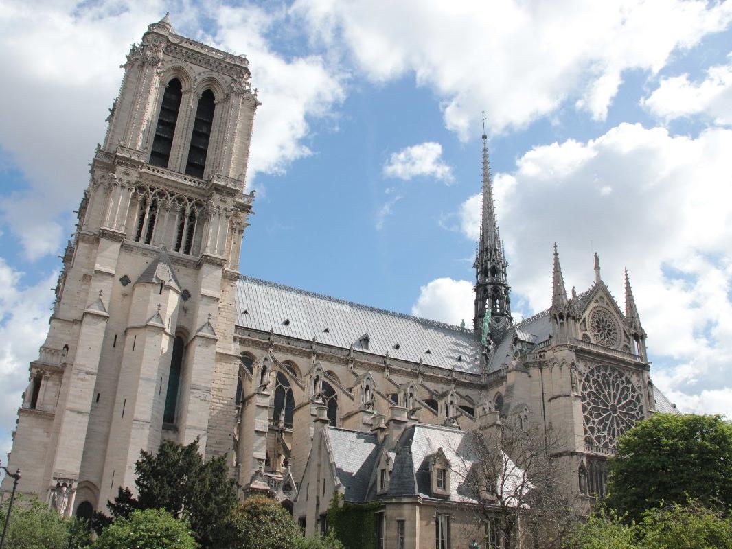 Daha çevre dostu bir Notre-Dame için çalışmalar başladı