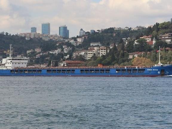 Rusya Dışişleri Bakanlığı: "Türkiye, tahıl yüklü gemiyi alıkoymadı"