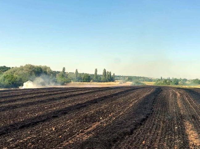 Kırklareli'de 25 dekar buğday tarlası yandı