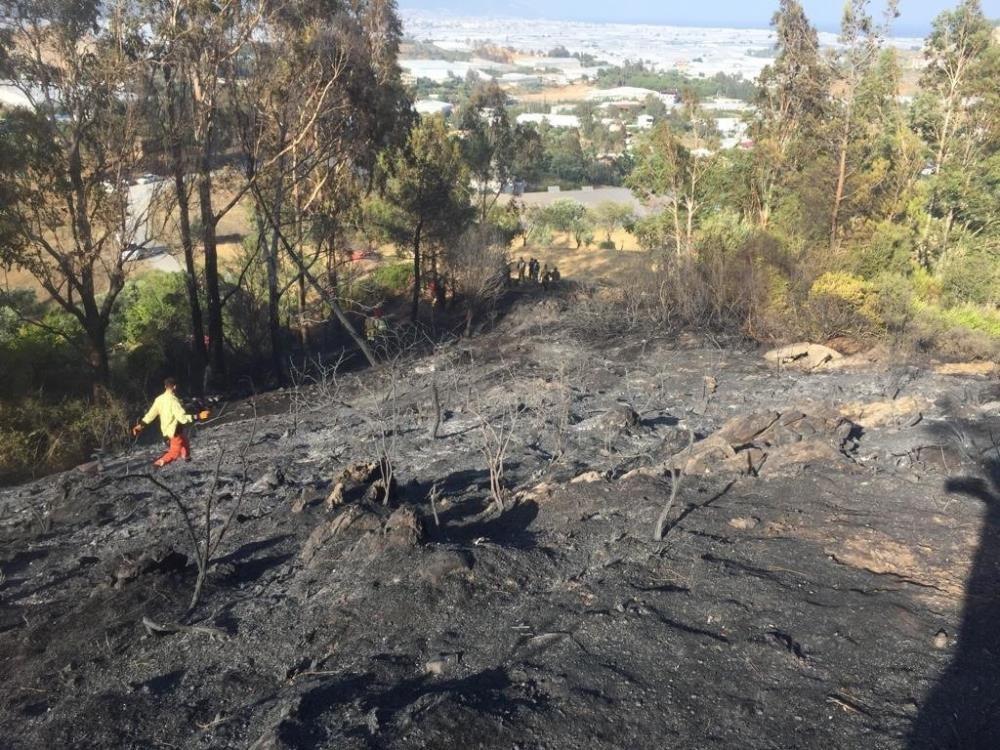 Tarımsal alandaki yangın ormana 100 metre kala söndürüldü
