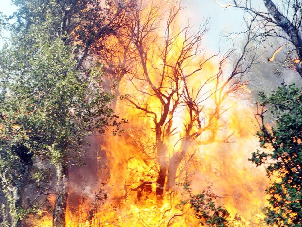 Bodrum’da yangın tatilcilere zor anlar yaşattı