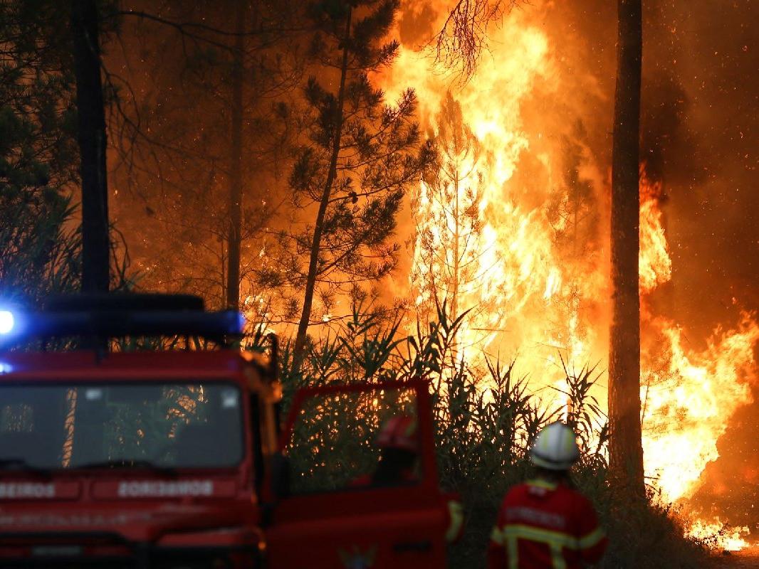 Avrupa, yangınlarla mücadele ediyor