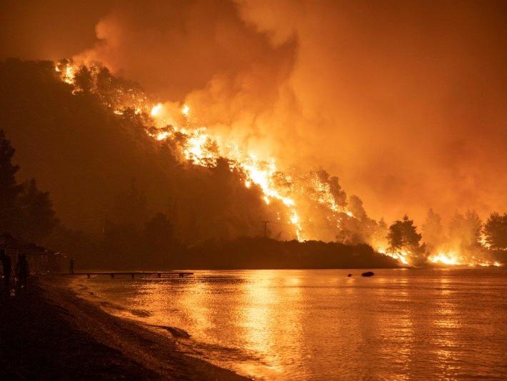 Avrupa'da alarm: Orman yangınları nedeniyle yaklaşık 300 kişi öldü