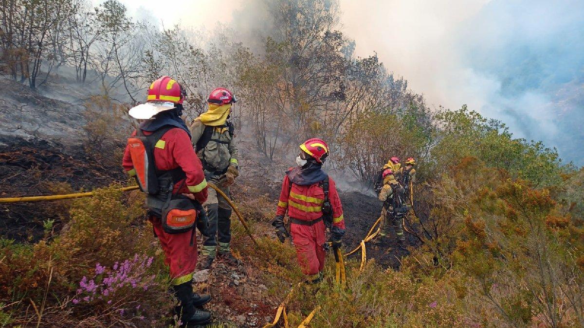 Fransa ve İspanya'da orman yangınlarıyla mücadele devam ediyor