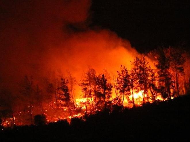 İçişleri açıkladı: Ormanlara girişler yasaklandı