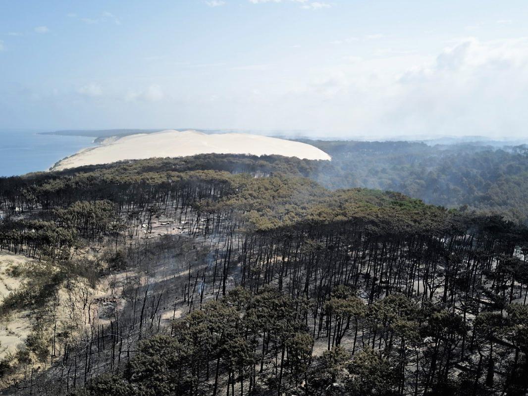 Fransa'da orman yangınları: Dev bir alan küle döndü