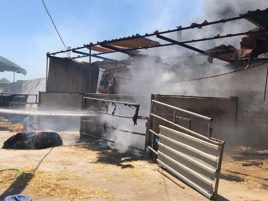 Seferihisar’daki iki orman yangınında 3 ev, 12 araç yandı