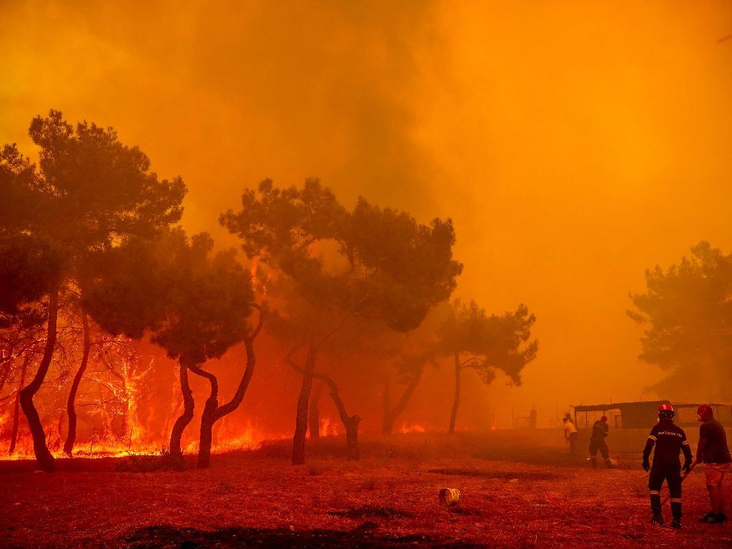 Midilli'de orman yangınları söndürülemiyor