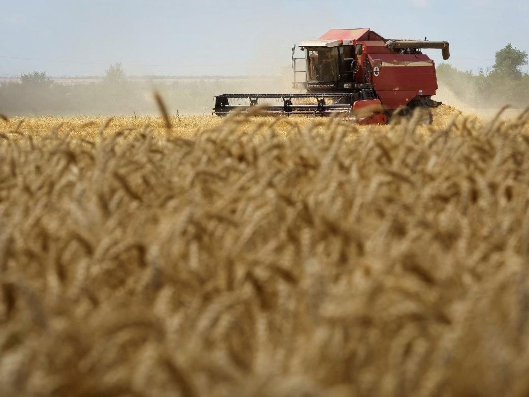 Ukrayna, tahıl sevkiyatına bu hafta başlamayı umuyor