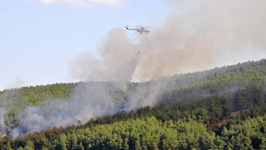 Edirne'de orman yangını: 4 kişi aranıyor