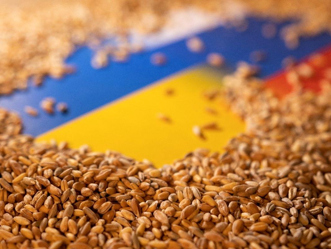 Tahıl anlaşması sonrası Ukrayna'da çalışmalar hızlandı