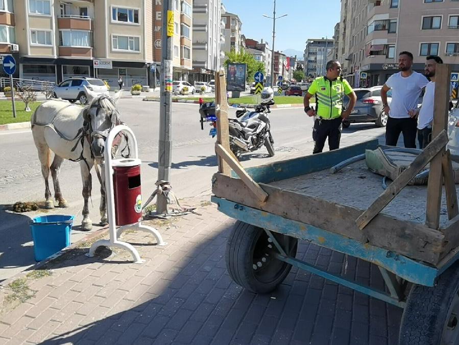 Bursa'da sahibinin elinden kaçan at, trafiği birbirine kattı