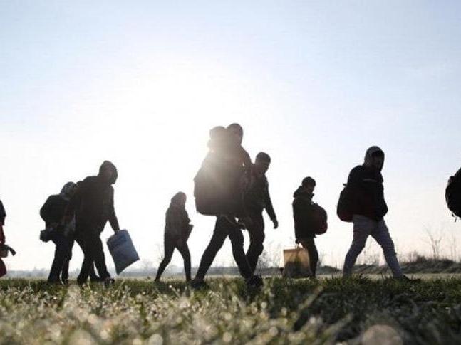 Bu yıl sınır dışı edilen düzensiz göçmen sayısı açıklandı