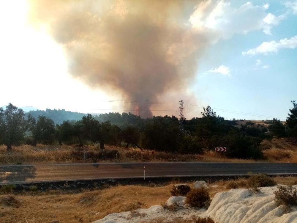 İzmir’de ziraat arazisinde yangın