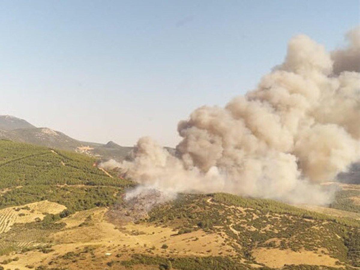 Manisa'da, 5 gün arayla 444 hektar alan yandı