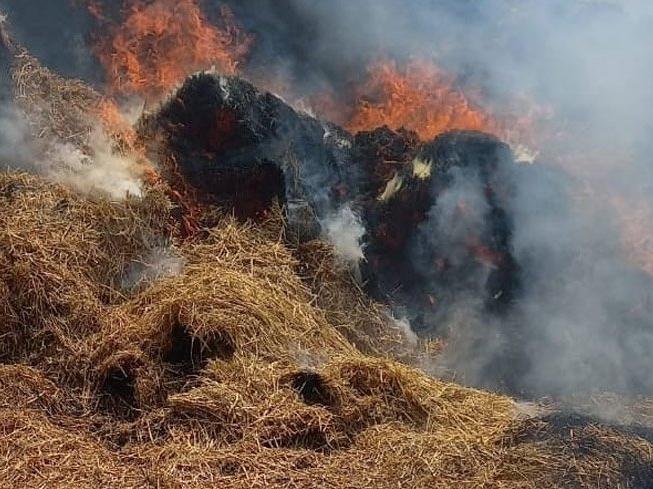 Bursa'da hayvan çiftliğinde yangın