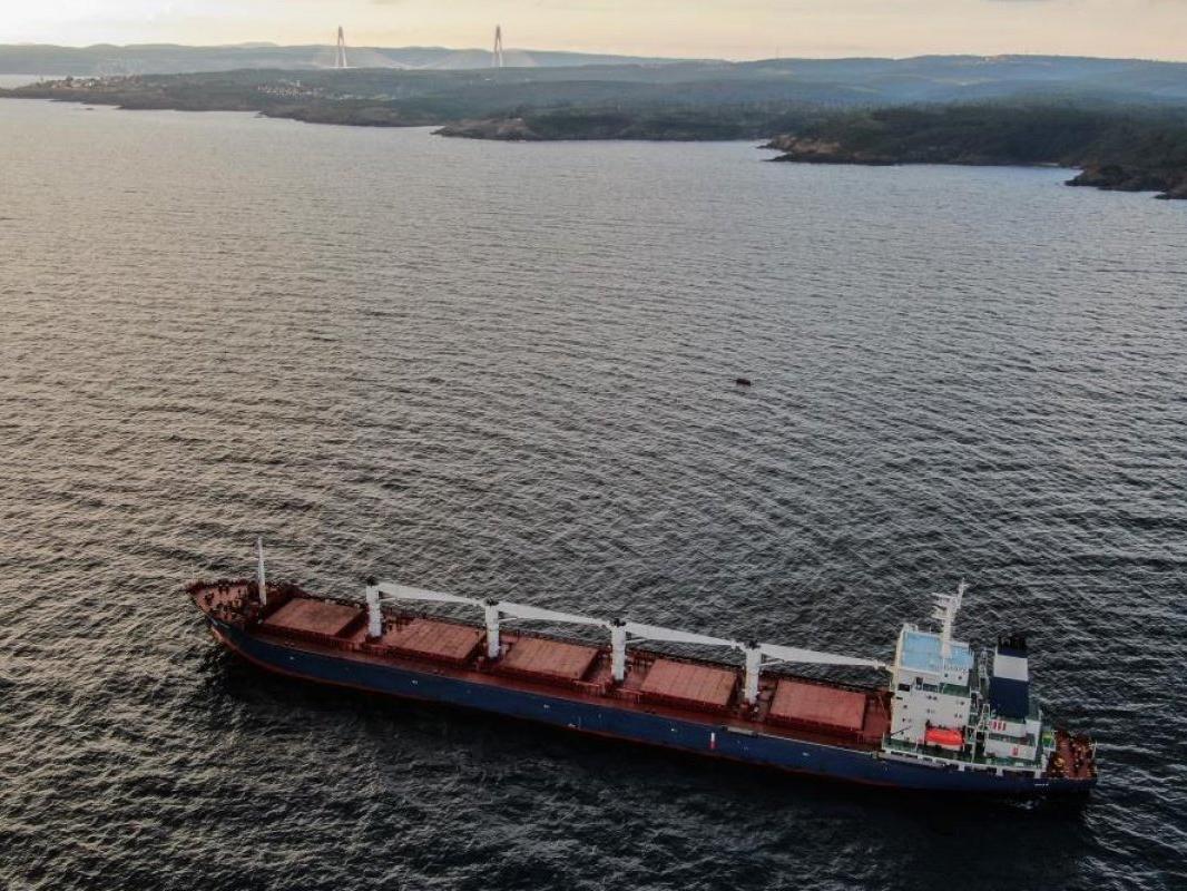 İlk tahıl gemisi dün İstanbul'a ulaşmıştı: Kremlin'den tahıl anlaşması ile ilgili açıklama